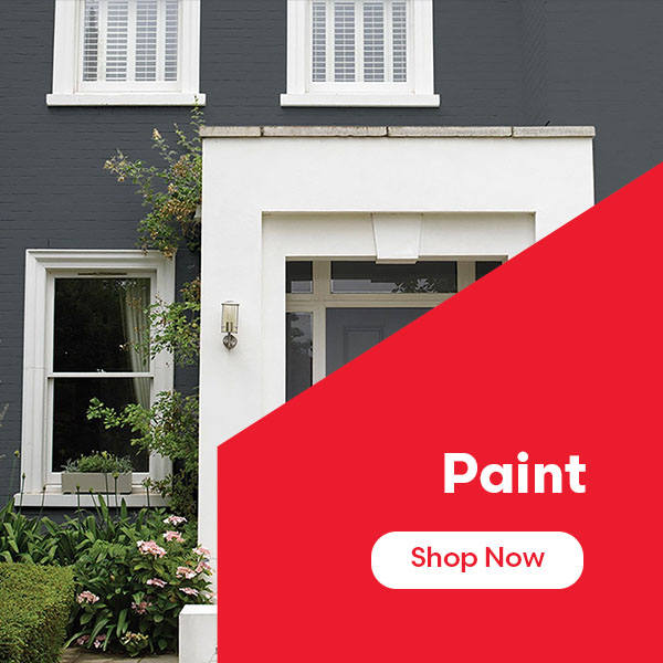 Spring Sale Paint